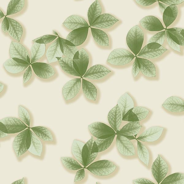 Sooku Wallpaper SR0153
